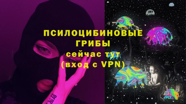 гидра Семикаракорск