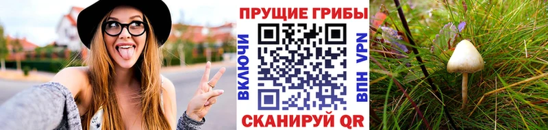 Псилоцибиновые грибы GOLDEN TEACHER  Дмитриев 