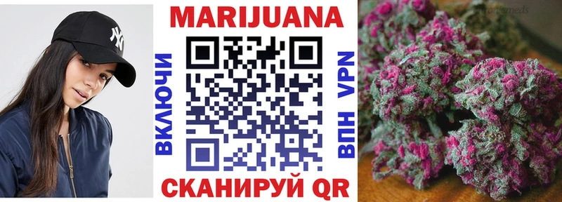даркнет сайт  Дмитриев  Каннабис SATIVA & INDICA 